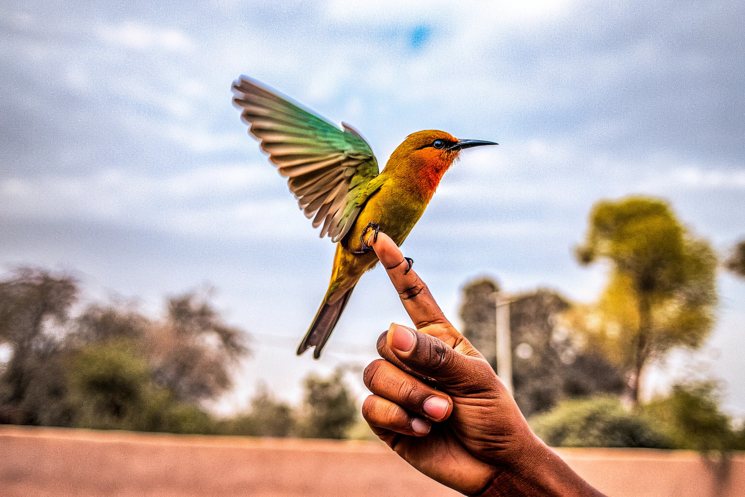 Ein balancierender Vogel, der auf einem Finger balanciert und das Prinzip des Gleichgewichts demonstriert. Balancierender Vogel auf einem Finger