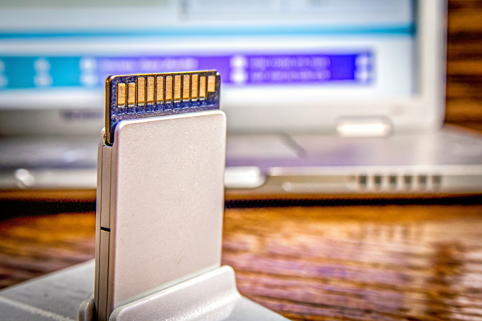 Ein Detailbild eines Spielstand-Backups auf einer SD-Karte. Spielstand Backup SD-Karte