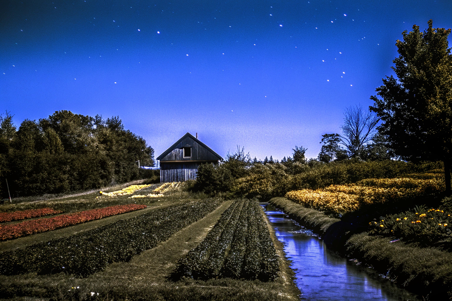 Eine idyllische Szene aus Harvest Moon - The Winds of Anthos, die das Leben auf der Farm zeigt. Idyllische Szene aus Harvest Moon