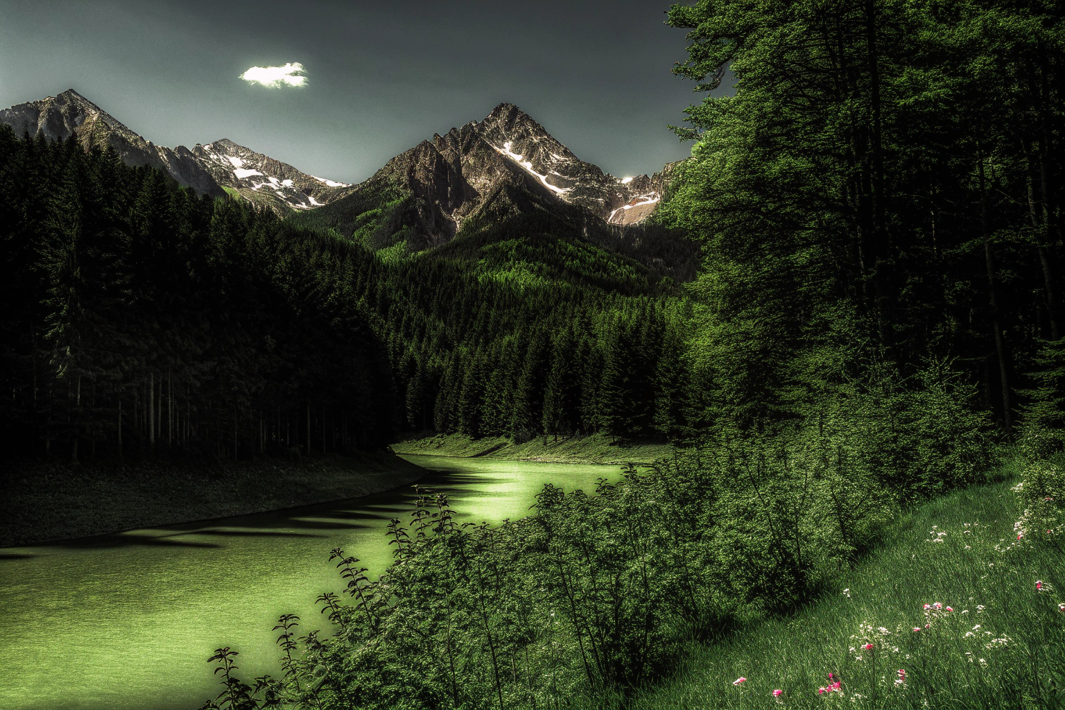 Eine prozedural generierte Landschaft, die mit Unity erstellt wurde, zeigt Berge, Flüsse und Wälder. Prozedural generierte Landschaft in Unity