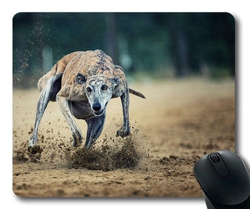 Custom - Maus - Pads, Süßer Hund handeln, EIN Pferderennen - Sport - Karriere - Hund, Gaming Mouse pad