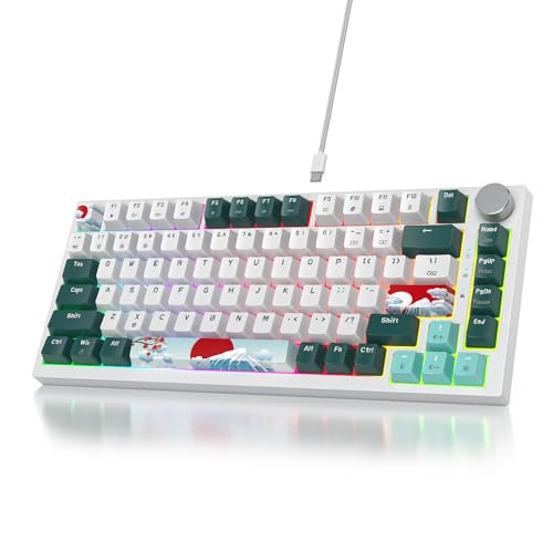 SOLIDEE Verkabelte Mechanische Gaming Tastatur