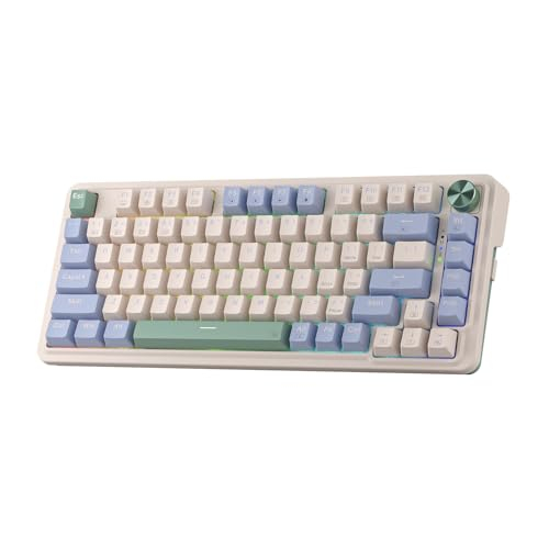 Redragon K673 PRO 75% Wireless Gasket RGB Gaming Tastatur