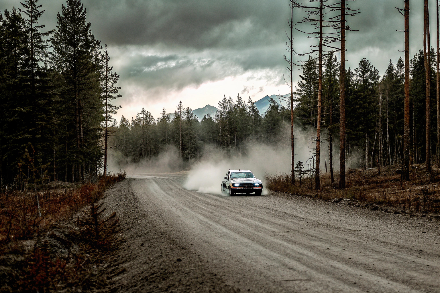 Spannende Rallyestrecken und authentische Fahrzeugdarstellungen in WRC 10. WRC 10 Rallye
