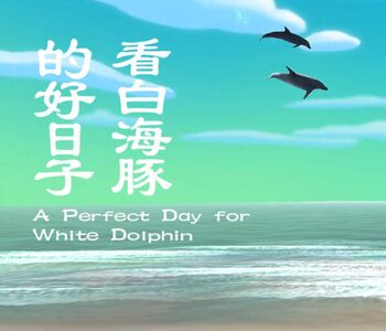 A Perfect Day for White Dolphin