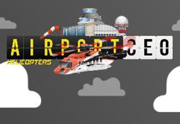 Airport CEO: Helicopters