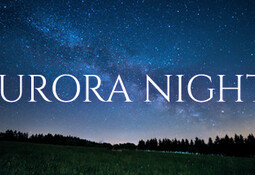 Aurora Nights