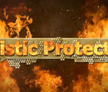 Ballistic Protection