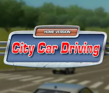 City Car Driving