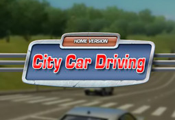 City Car Driving