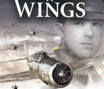 Combat Wings