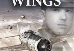 Combat Wings