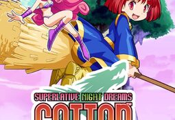 Cotton Fantasy PS4