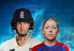 Cricket 22