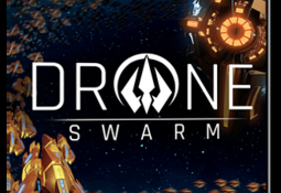 Drone Swarm