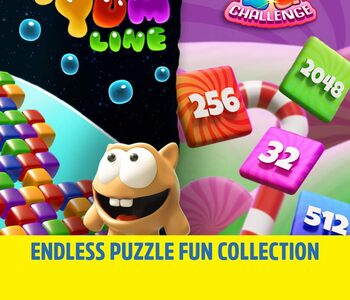 Endless Puzzle Fun Collection Nintendo Switch
