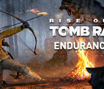 Endurance Mode