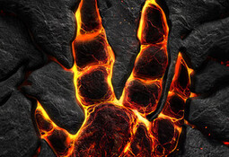 Evolve Stage 2