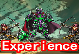 Experience