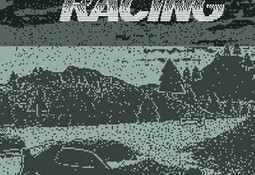 Fake Racing