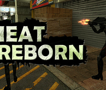 HEAT REBORN