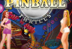 Hot Pinball Thrills