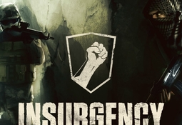 Insurgency