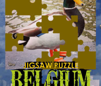 Jigsaw Puzzle: Belgium Through The Lens