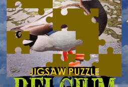 Jigsaw Puzzle: Belgium Through The Lens
