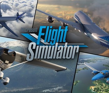 Microsoft Flight Simulator