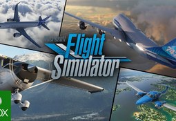 Microsoft Flight Simulator