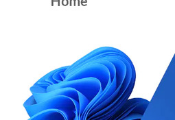 Microsoft Windows 11 Home