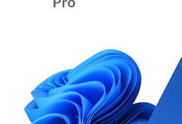 Microsoft Windows 11 Pro