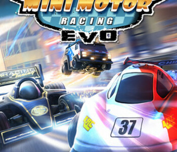 Mini Motor Racing EVO