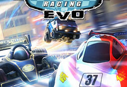 Mini Motor Racing EVO
