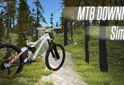 MTB Downhill Simulator