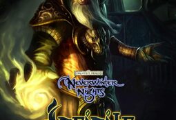 Neverwinter Nights: Infinite Dungeons