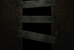OPEN DOOR