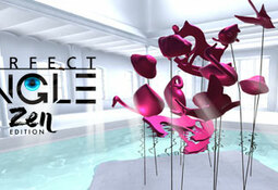 Perfect Angle VR - Zen edition