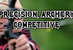 Precision Archery: Competitive