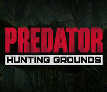 Predator Hunting Grounds