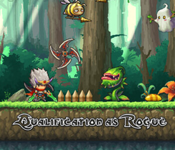 Qualification as Rogue