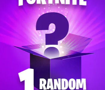 Random Fortnite Skin / Item