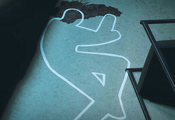 Scene Investigators