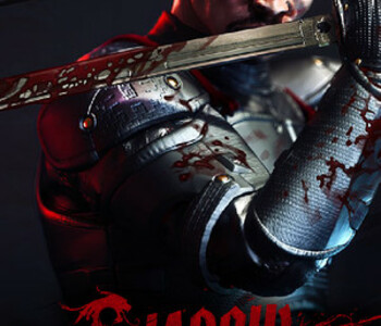Shadow Warrior