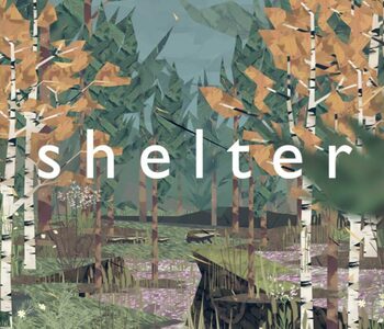 Shelter