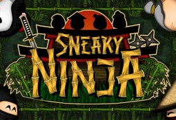 Sneaky Ninja