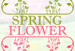 Spring Flower