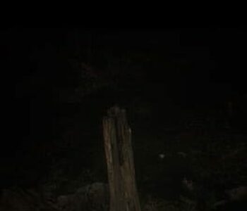 The Haunting
