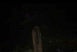 The Haunting